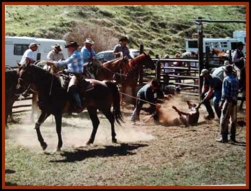 Bill Trump branding on RCA Running Rooster